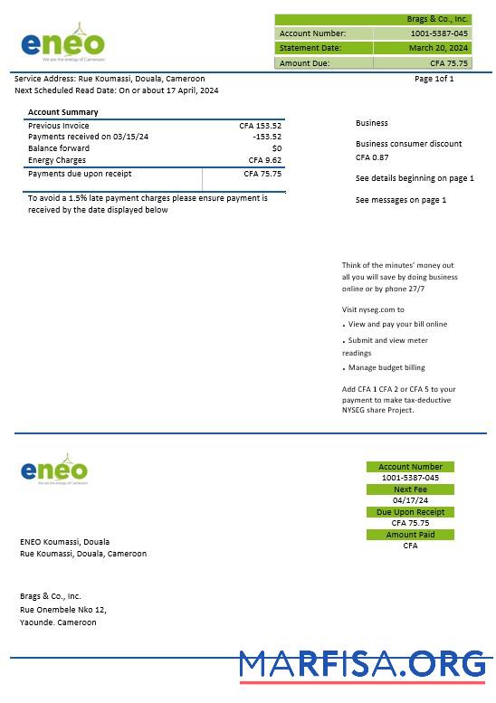 Printable Cameroon ENEO electricity business utility bill template in Word and Pdf formats